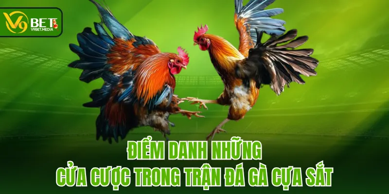 Điểm danh những cửa cược trong trận đá gà cựa sắt